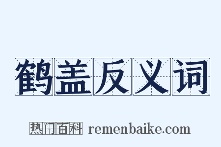 鹤盖反义词是什么意思的图片